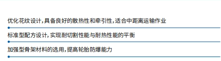 用于刚性自卸车和底部自卸车的 OTR 轮胎 1400R24、1400R25、1800R25